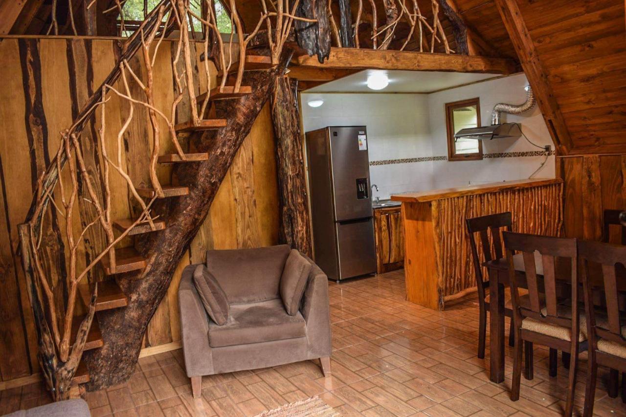 Cabanas Ecoturismo La Pancha Puerto Aysen Exterior foto